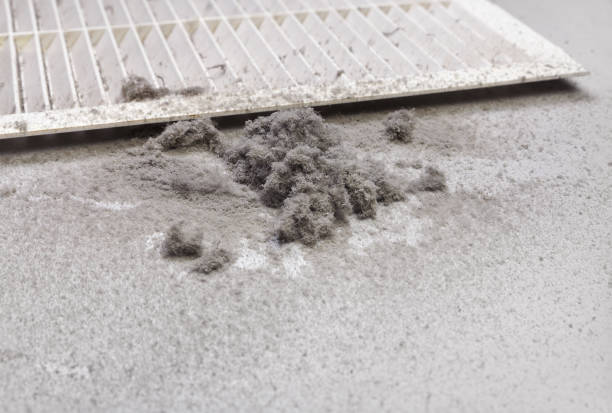 Best Professional Duct Cleaning Services  in Burwell, NE